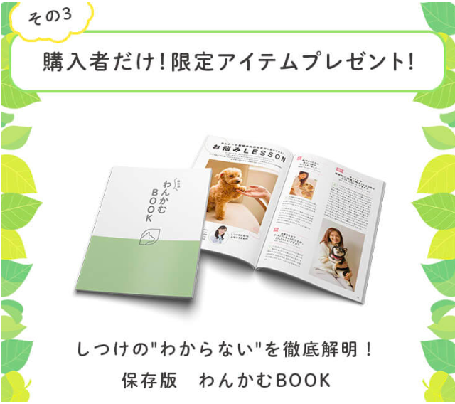 購入者だけに限定アイテムプレゼント